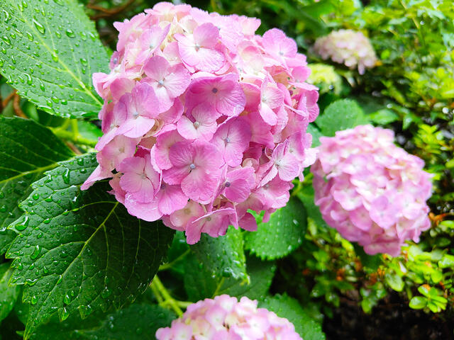 250530_01.jpg
