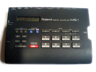 roland_ms-1.jpg